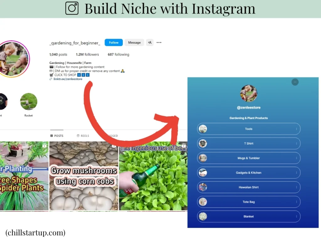 create niche instagram audience for affiliate marketing